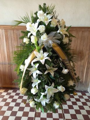 263177637_435531801286846_6790321150673364402_n