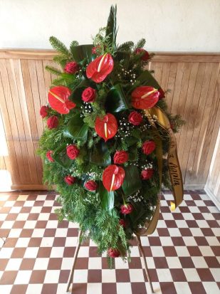 264669096_456675436021993_2888102697639627205_n